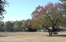 School grounds 2017