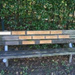 Memorial Bench